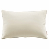 Enhance 24 Inch Lumbar Performance Velvet Throw Pillow in Ivory