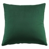 Enhance 24 Inch Performance Velvet Throw Pillow