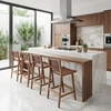 Feder Counter Stool Set of 2 in Brown