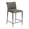Freesia Counter Stool Set of 2