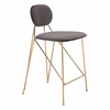 Georges Counter Stool Set of 2 in Gray & Gold