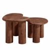 Hackney Mango Wood Nesting Coffee Table Set