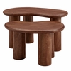 Hackney Mango Wood Nesting Coffee Table Set