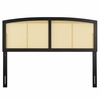 Halcyon Cane Full Headboard in Black