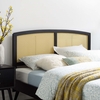 Halcyon Cane King Headboard in Black