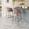 Josephine Counter Stool Set of 2