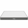 Kate 6" King Mattress