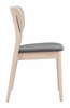 Kellua Dining Chair Set of 2