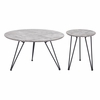 Kerris Coffee Table Set in Gray & Black