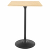 Lippa 28 Inch Square Wood Bar Table in Black Natural