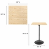 Lippa 28 Inch Square Wood Bar Table in Black Natural