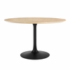 Lippa 47 Inch Wood Dining Table in Black Natural