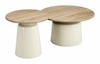 Lireen Coffee Table Set 2-Piece in Natural & Ivory