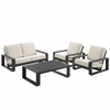 Lirienne 4-Piece Outdoor Patio Aluminum Furniture Set