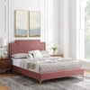 Liva Performance Velvet King Bed in Dusty Rose