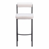 Livorno Barstool Set of 2 in Ivory