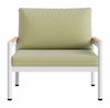 Lychee Armchair in Green