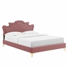 Neena Performance Velvet King Bed in Dusty Rose
