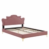 Neena Performance Velvet King Bed in Dusty Rose