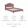 Neena Performance Velvet King Bed-MOD-6840 in Dusty Rose