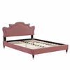 Neena Performance Velvet King Bed-MOD-6840 in Dusty Rose
