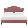 Neena Performance Velvet King Bed-MOD-6840 in Dusty Rose