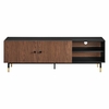 Nexus 60" TV Stand in Black Walnut