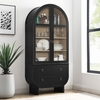 Nolan 74" Tall Wide Arched Storage Display Cabinet