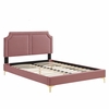 Novi Performance Velvet King Bed in Dusty Rose