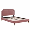 Novi Performance Velvet King Bed-MOD-6838 in Dusty Rose