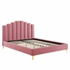 Olivia Queen Performance Velvet Platform Bed in Dusty Rose