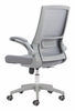 Pater Office Chair in Gray