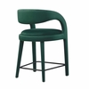 Pinnacle Performance Velvet Counter Stool Set of 2