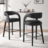 Pinnacle Vegan Leather Bar Stool Set of 2 in Black Black