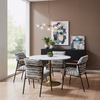 Reduga Dining Chair in Multicolor