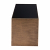Reed Coffee Table in Brass & Black