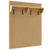 Render Fluted Coat Rack Panel With Shelf