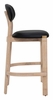 Rilou Barstool Set of 2