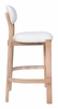 Rilou Barstool Set of 2