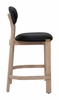 Rilou Counter Stool Set of 2