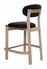 Rilou Counter Stool Set of 2