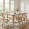 Roms Dining Table in Whitewashed
