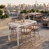 Safal Swivel Barstool in Multicolor