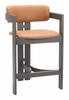 Shaili Counter Stool in Brown