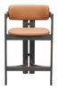 Shaili Counter Stool in Brown