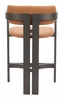 Shaili Counter Stool in Brown