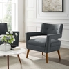 Sheer Fabric Armchair in Gray
