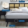 Sidney Cane and Wood King Platform Bed with Splayed Legs in Black