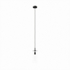 Skylark Pendant Light in Clear Black