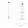 Skylark Pendant Light in Clear Black